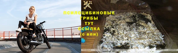 Альфа ПВП Армянск