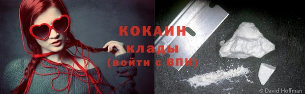 стаф Аркадак