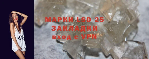 стаф Аркадак