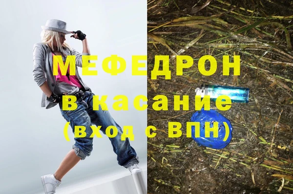стаф Аркадак