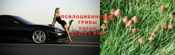 Альфа ПВП Армянск